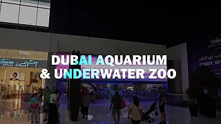 ONPASSIVE nasadila MASÍVNU marketingovú kampaň – v Dubaji a mrakodrape Burj Khal