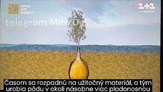 Je ich tak veľa, že cintoríny na okrajine budú onedlho  vidno z kozmu