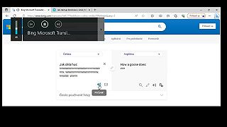 Ako robí hus podľa Microsoft Translatoru