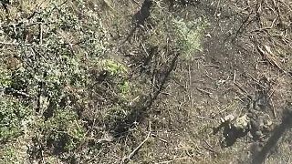 Delostrelectvo rozprášilo pechotu okupantov