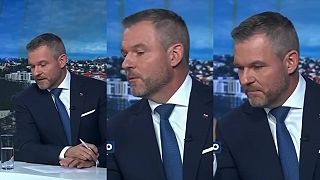 Pelle naložil Šimečkovi kvôli zeleným energiám