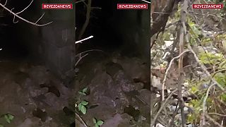 Masa mŕtvych ukrajinských vojakov! 18+