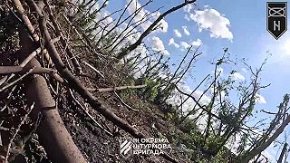 Čistenie pozícii okupantov pri oslobodzovaní Andriivky