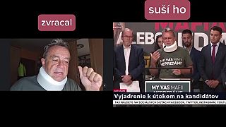 BRUTÁLNY SIMULANT Pročko