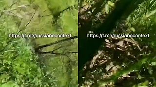 Ivan sa chcel pochváliť, ako im ide trojdňová špeciálna operácia