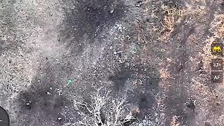 Daľšie ukro jatky. Telá ukrajincov všade kam sa pozriete!