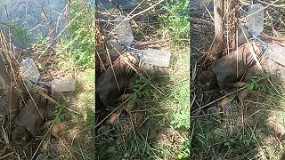Telá ukrajincov hnijú v močiaroch rieky Dnepr. Video 1