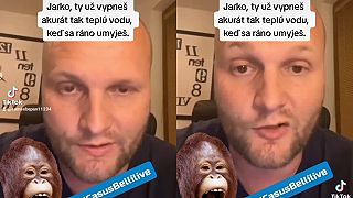 Prečo (NE)voliť, Demoskratov