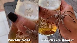 Keď si chceš dať v Austrálii pivo