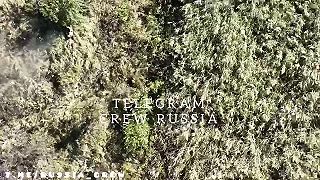 Ukro pechota v mlynčeku na mäso