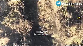 Ako prebieha ukro protiofenzíva? ževraj vynikajúco! ok...