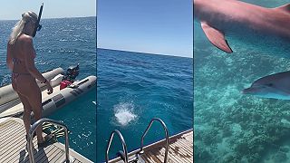 Hurghada https://adventures-egypt.com/