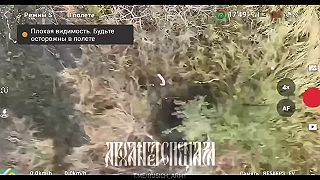 Zľutovanie nad ukrajincom 18+