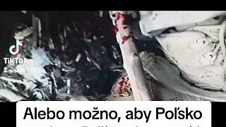 Tik Tok a krutá realita