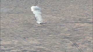 Avdiivka #24 Javelin sa zabodol do tanku okupantov