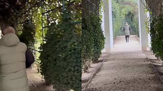 Rocky zvaný tiež Kadyrov