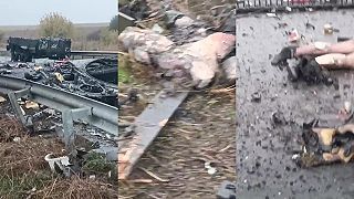 Paštiky, konzervy a okupanti