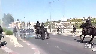 Propalestínsky slniečkári dostali na frak