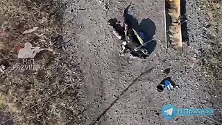 Zľutovanie nad ukrajincom