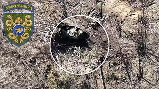 Ivan si prišiel zastrieľať a privyrobiť