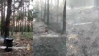 Ivani dostali na obed nečakaný dezert