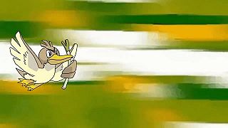 Záchranný team|Pokémon Moravia|S01E24