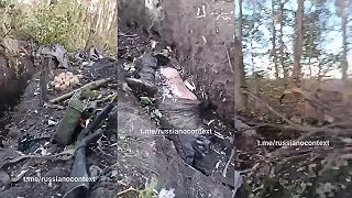 Ivani si prišli zarobiť vraždením, zabaviť sa, popiť a..
