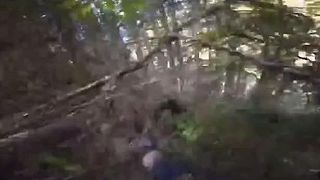 Takmer sa napichol na rohy jeleňa