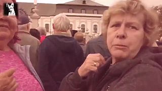 Zúbková víla