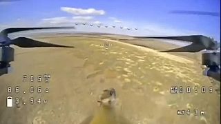 Rusi zabili ukrajinskú myš! 18+ (VIDEO LEN PRE SILNÉ POVAHY)