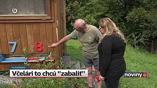 Medvede trápia aj včelárov na Kysuciach. Pozrite si, aké škody páchajú