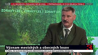 Význam obecných a mestských lesov