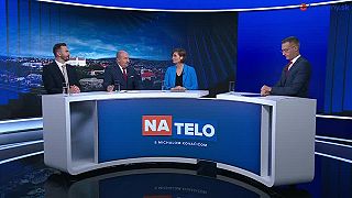 Rudolf Huliak. Relácia na telo. O korupcii v ochrane prírody