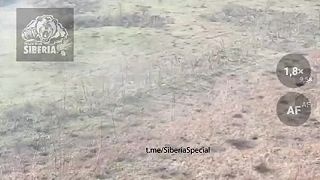 Ruskí delostrelci zmasakrovali ukrajinskú pechotu v okolí Kliščijivky