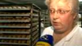 Rómovia kradnú pečivo.