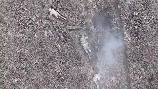 Zarábať si vraždením nebol najlepší nápad