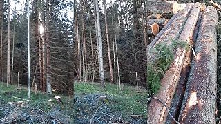 Budajovi ľudia rúbu v národnom parku Muránska Planina. Biomasaker
