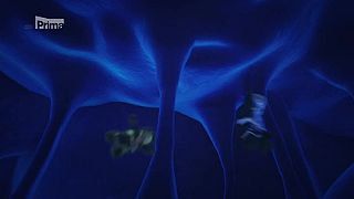 Ninjago,S05E08