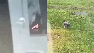 Vrana ukradla Putinovu bustu