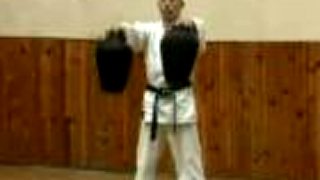 Tradičné Okinawské Karate