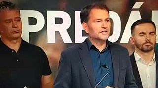 Slovník SMERu, Fico je šéf podvádza svoju starú kurvu manželku Svetlanu