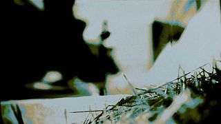 Ian Carey Project x Sammy Porter – Get Shaky