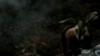 Alice in Wonderland - Trailer