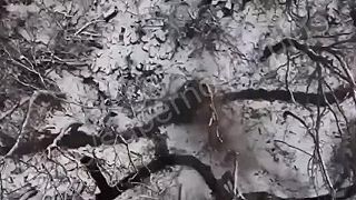 Dvaja okupanti na cikpauze