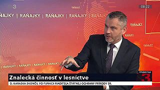 Súdny forenzný znalec v oblasti lesníctva