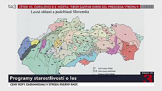 Programy starostlivosti o les