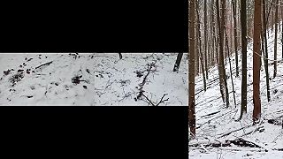 Poľovníka napadla medvedica pri obci Kľačno
