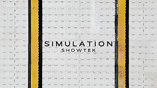 Simulation