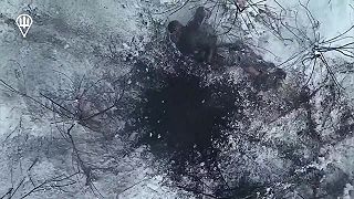 Skaza okupantov
