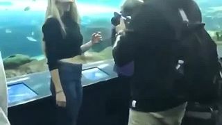 Myslela si, že je jediná influencerka v celom akváriu!